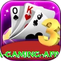 wxwx Mega Gaming App